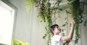 沖縄の家づくり☆おしゃれに演出する観葉植物スタイル
